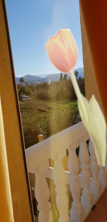 Apartamento Mar Y Sol, Denia Exteriör bild